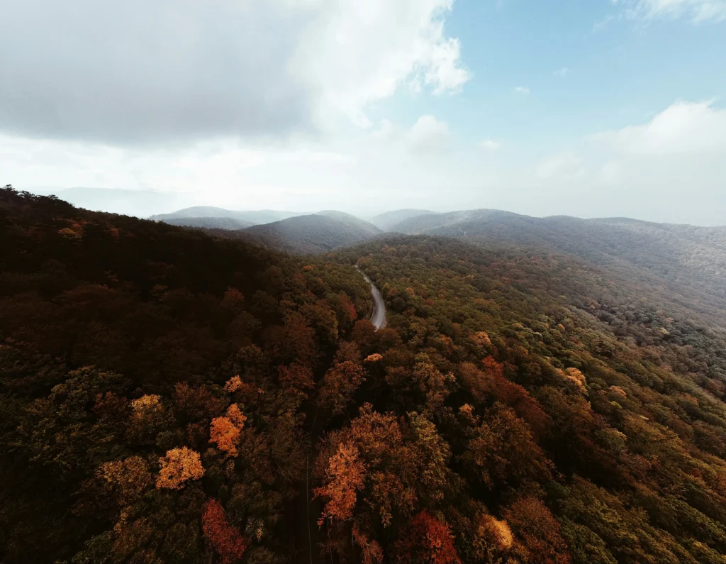 Northern Virginia nature.